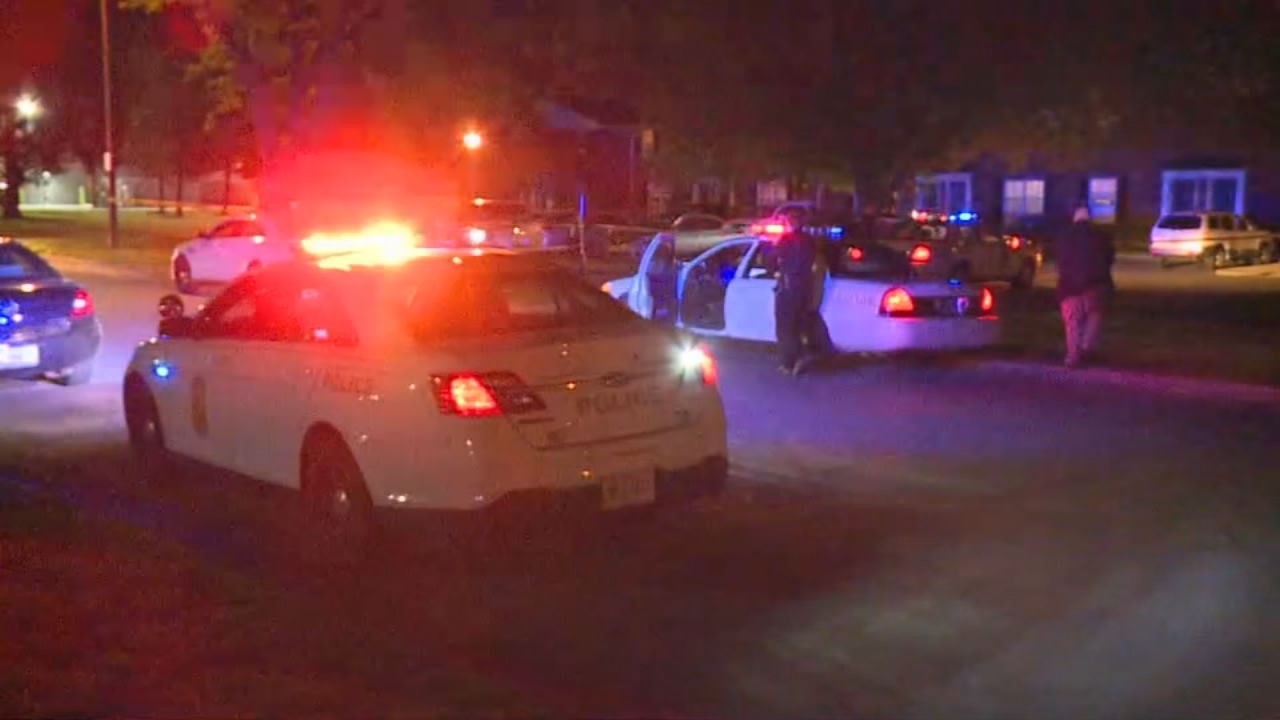 Madison police lights generic (1).jpg